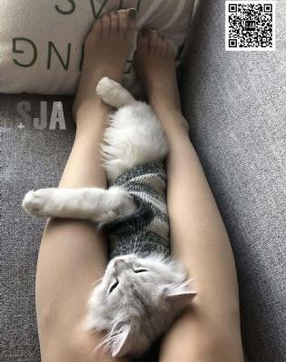 爱之女巫