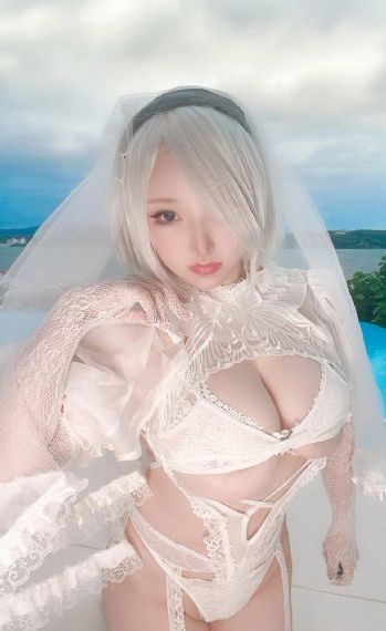 浪漫樱花动漫在线观看高清