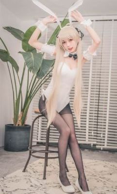 《终末的后宫》